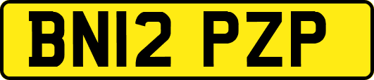 BN12PZP