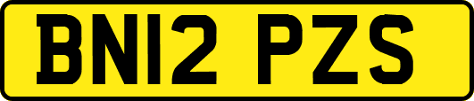 BN12PZS