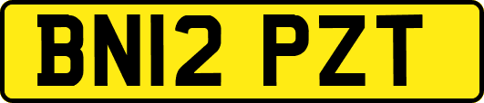 BN12PZT