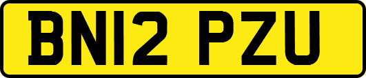 BN12PZU