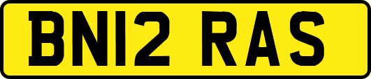 BN12RAS