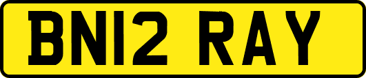 BN12RAY