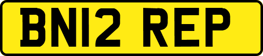 BN12REP