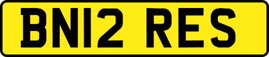 BN12RES