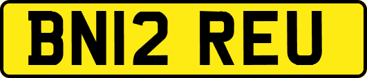 BN12REU