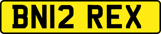 BN12REX