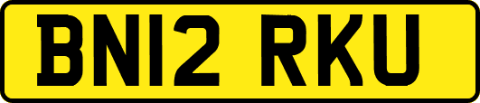 BN12RKU