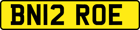 BN12ROE