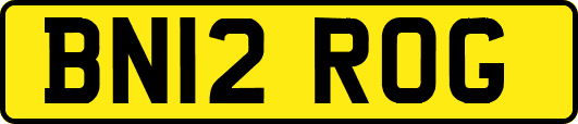BN12ROG