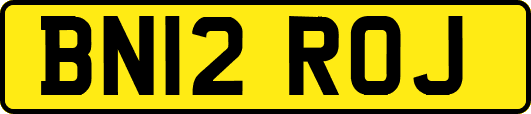 BN12ROJ