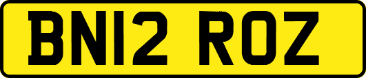 BN12ROZ