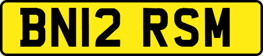 BN12RSM