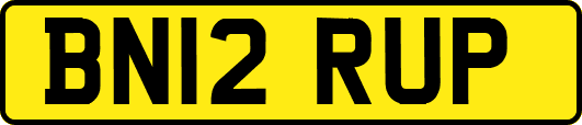 BN12RUP