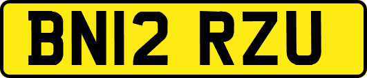 BN12RZU