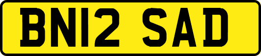 BN12SAD