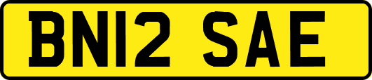 BN12SAE