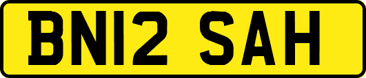BN12SAH