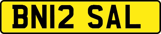BN12SAL