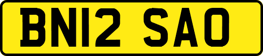 BN12SAO