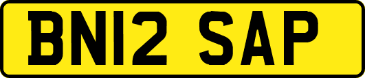 BN12SAP