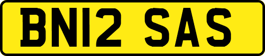 BN12SAS