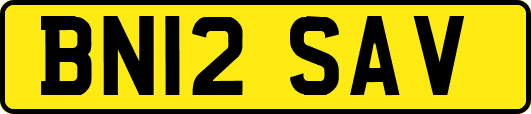 BN12SAV
