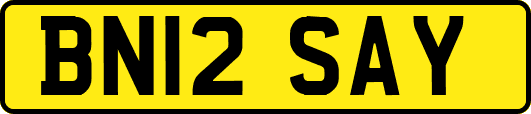 BN12SAY