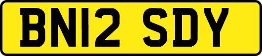 BN12SDY