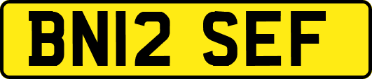 BN12SEF