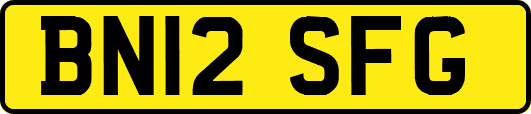 BN12SFG
