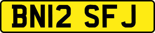BN12SFJ