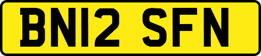 BN12SFN