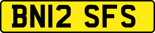 BN12SFS