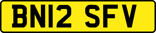 BN12SFV