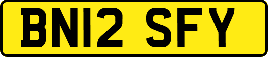 BN12SFY