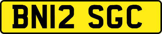 BN12SGC