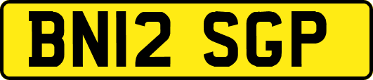 BN12SGP