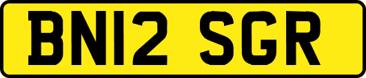 BN12SGR