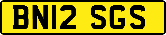 BN12SGS