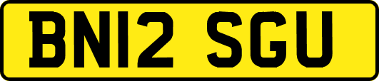 BN12SGU