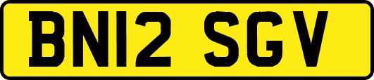 BN12SGV