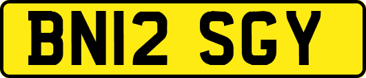 BN12SGY