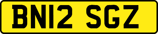 BN12SGZ
