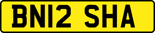 BN12SHA