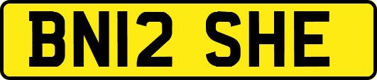 BN12SHE