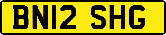 BN12SHG