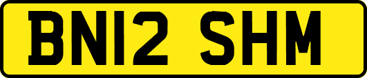 BN12SHM