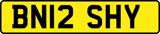 BN12SHY