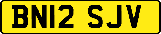 BN12SJV