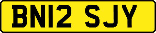 BN12SJY